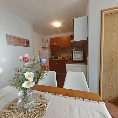 Mikulin Apartments Apartmán